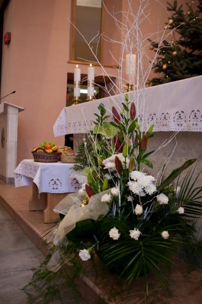 IMG_7182 IMG_7182
